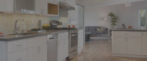 Statesboro Apartments kitchen image